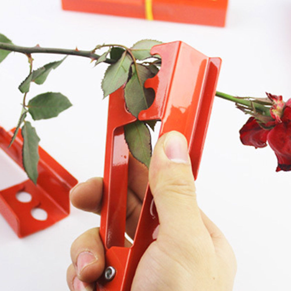 Gül Dikenleri Temizleme Penses - Gardening Tools Unique incelemesi ve fiyatı