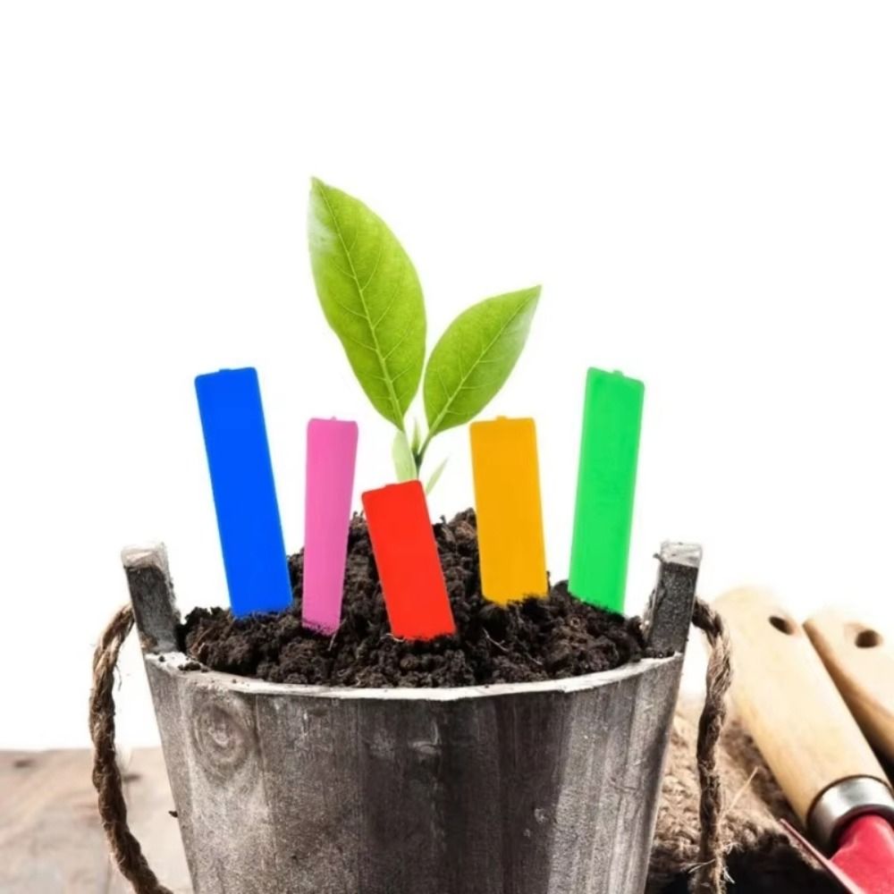 100 Adet Plastik Malzeme Bitki - Gardening Tool Diy incelemesi ve fiyatı