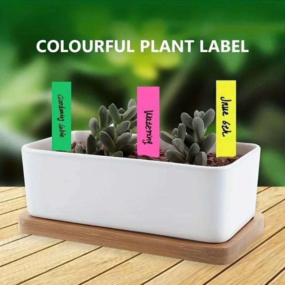 100 Adet Plastik Malzeme Bitki - Gardening Tool Diy incelemesi ve fiyatı