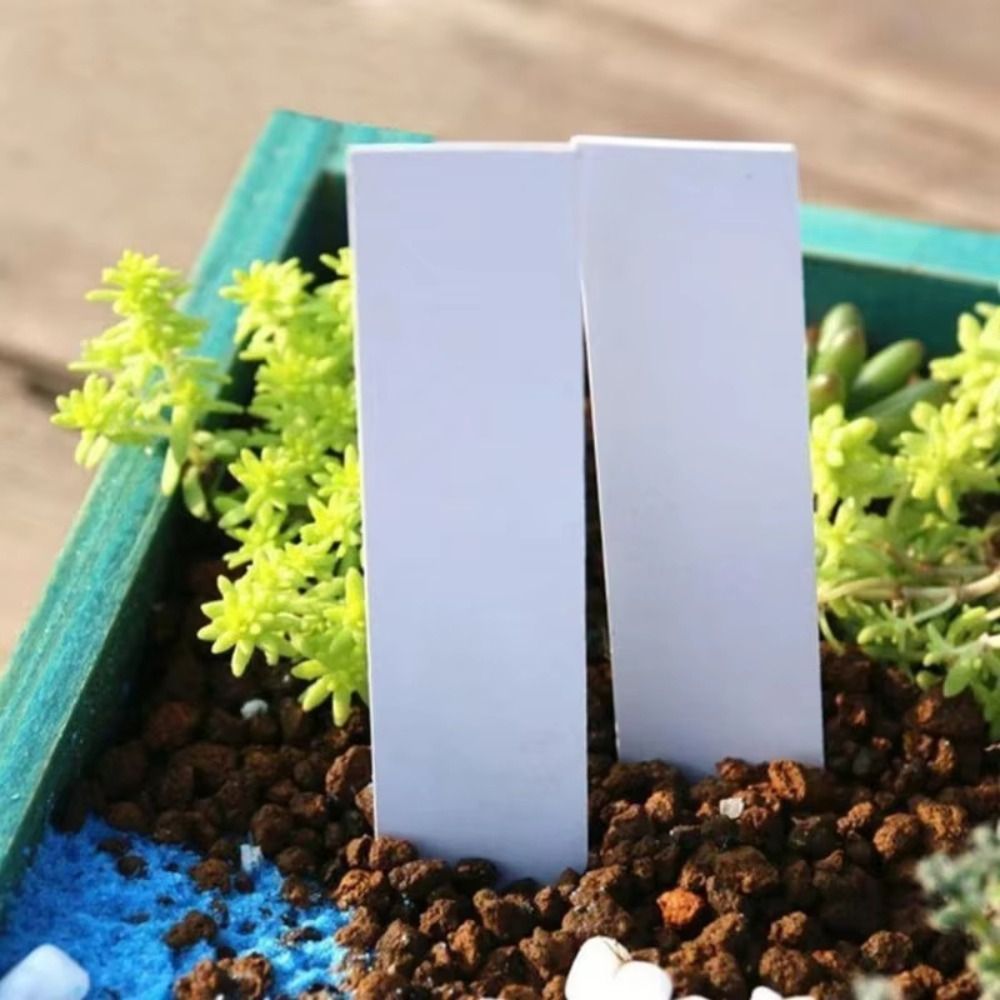 100 Adet Plastik Malzeme Bitki - Gardening Tool Diy incelemesi ve fiyatı
