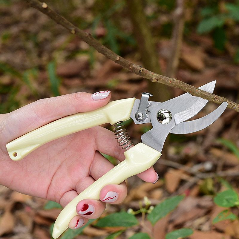 İşgücü Tasarrufu Sağlayan Bahç - Gardening Tool Diy incelemesi ve fiyatı