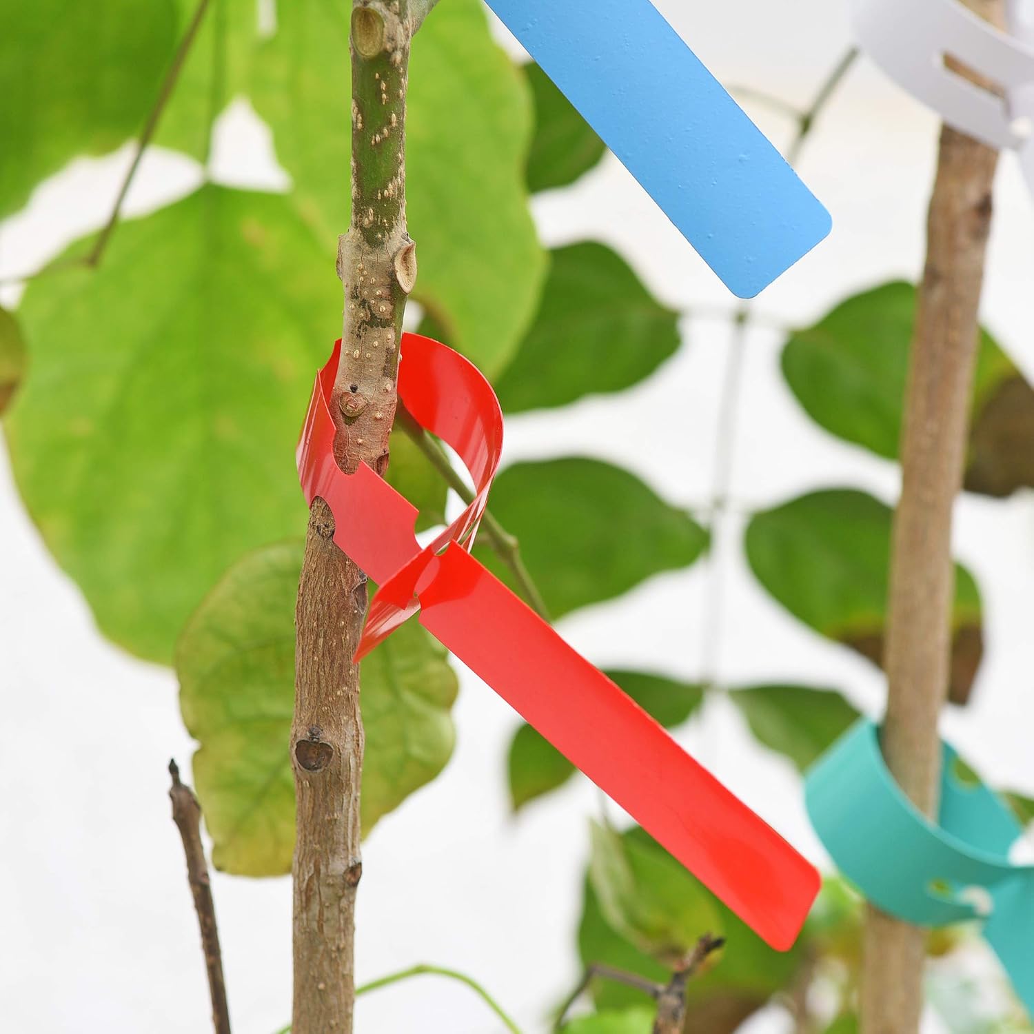 100 adet Su Geçirmez Bitki Eti - Gardening Tools Labeled incelemesi ve fiyatı