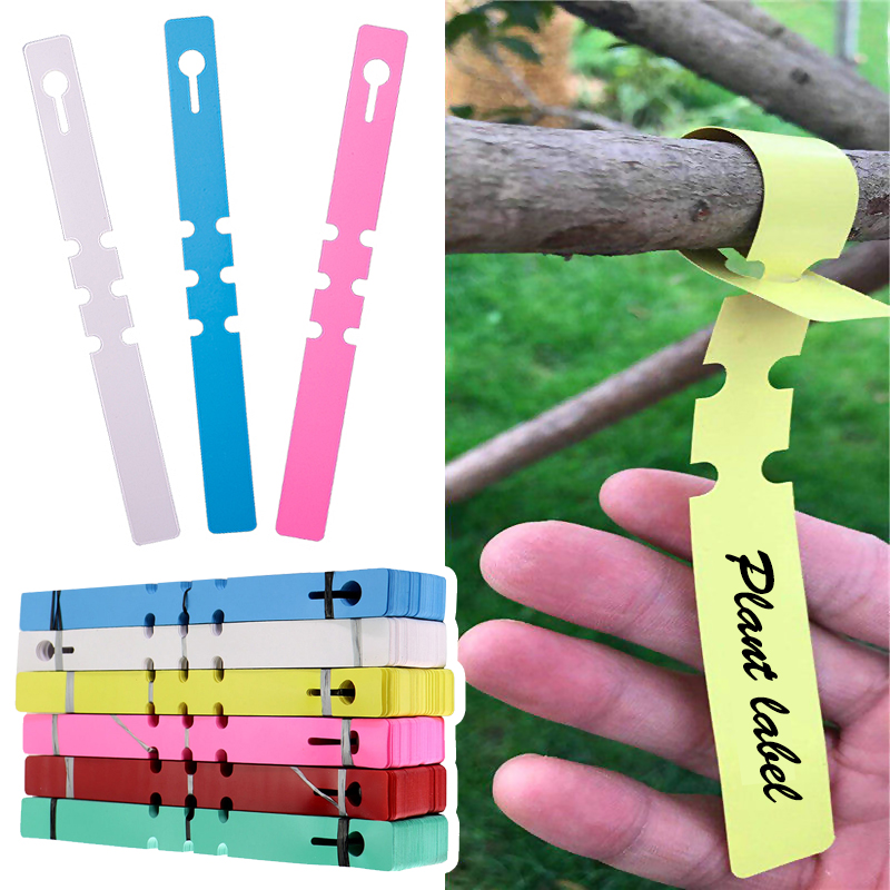 100 adet Su Geçirmez Bitki Eti - Gardening Tools Labeled incelemesi ve fiyatı