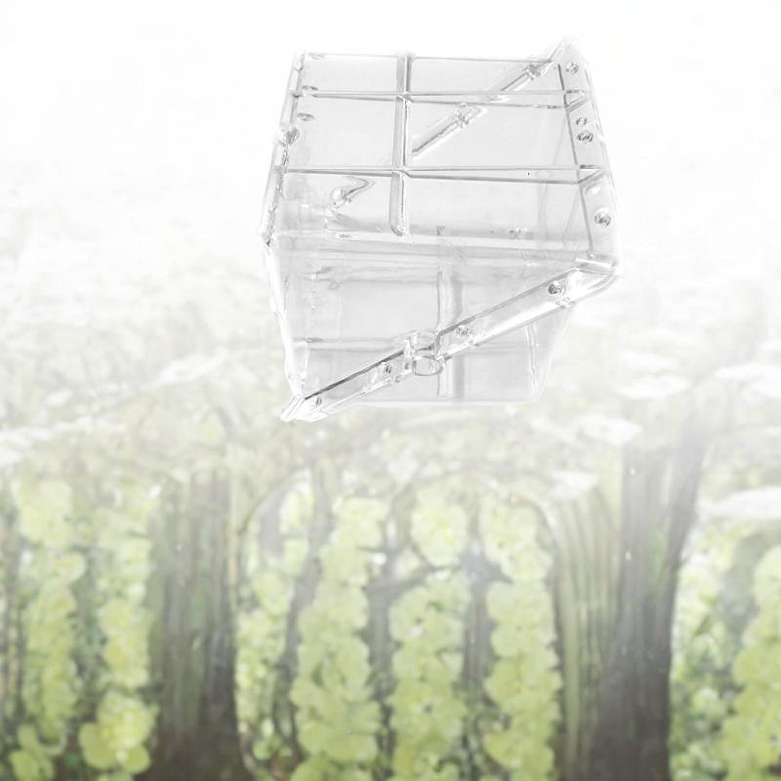 Kare Karpuz Büyüme Kalıbı Ekip - Gardening Tools Unique incelemesi ve fiyatı