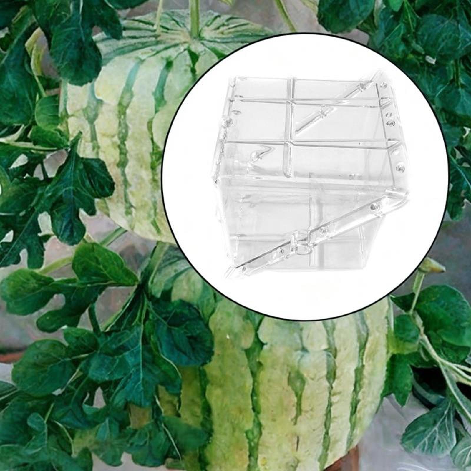 Kare Karpuz Büyüme Kalıbı Ekip - Gardening Tools Unique incelemesi ve fiyatı