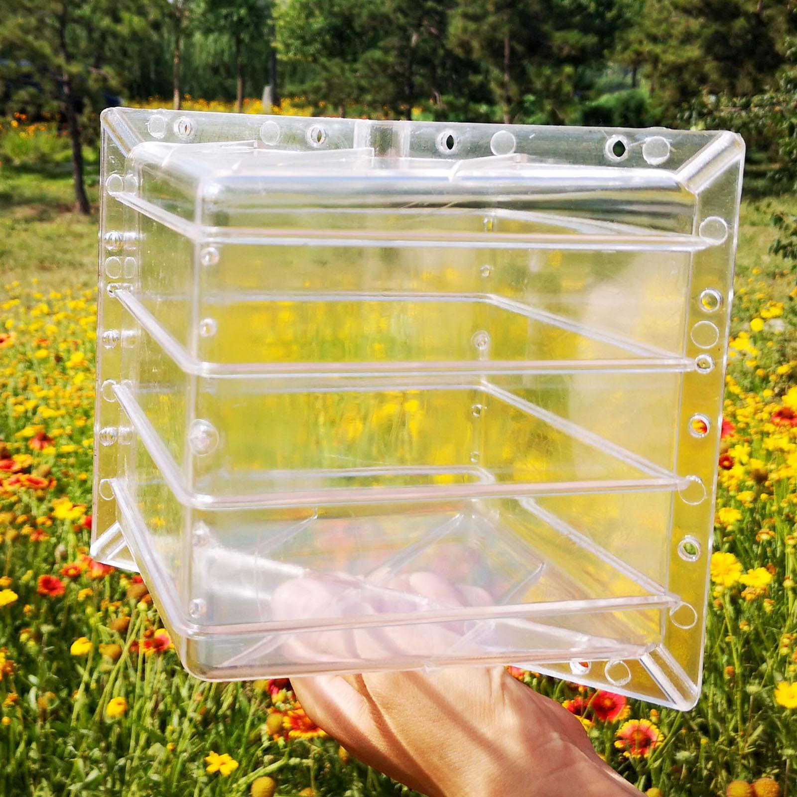 Kare Karpuz Büyüme Kalıbı Ekip - Gardening Tools Unique incelemesi ve fiyatı